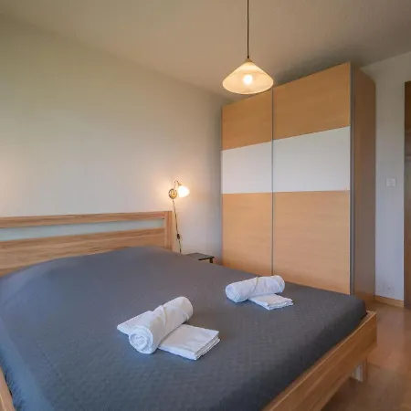 Lejlighed Domino B 48 By Interhome Ovronnaz