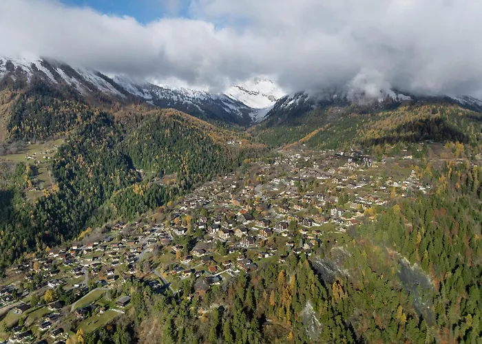 Domino B 48 By Interhome *